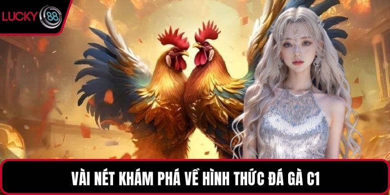 Vài nét khám phá về hình thức đá gà C1